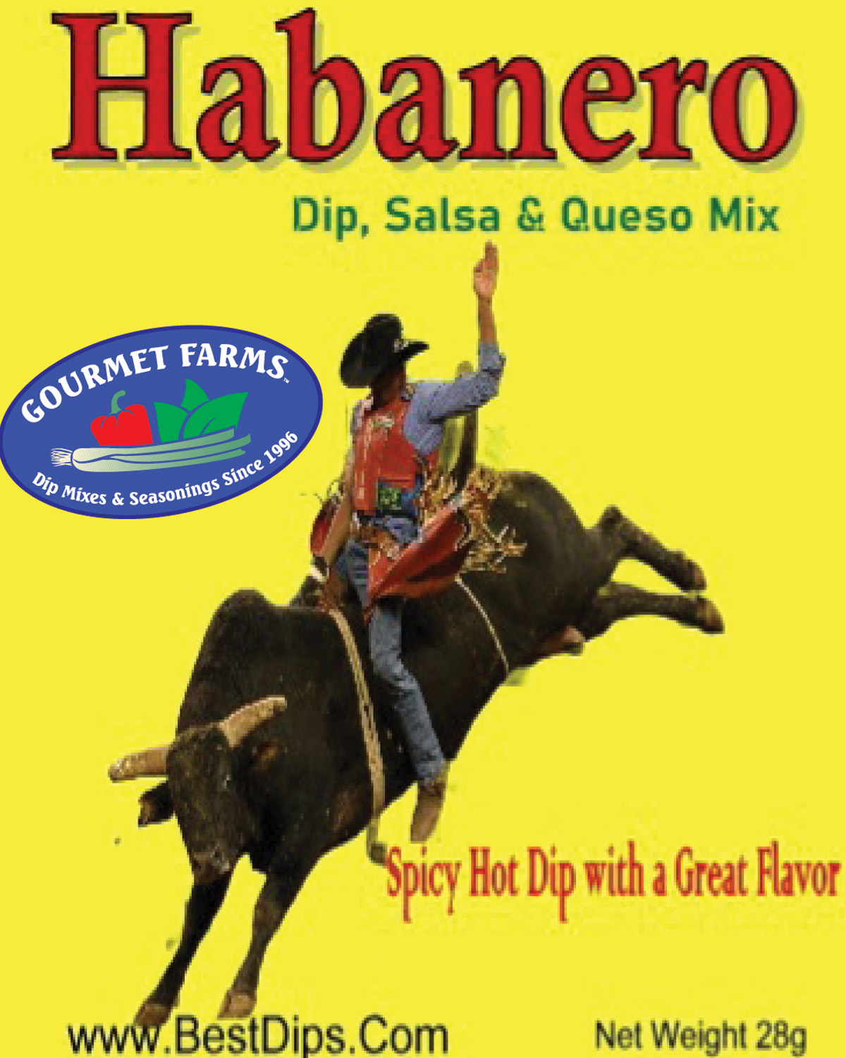 Green Onion Dip and Seasoning Mix 